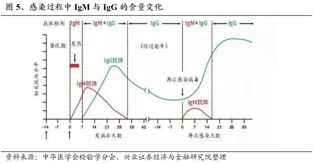 全球最新肺炎分析，现状与未来展望