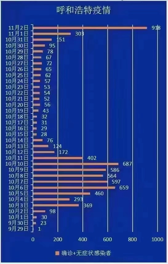 全球疫情年龄最新动态，挑战与应对策略