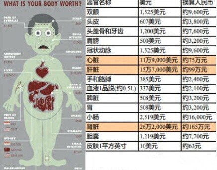 肾移植价格揭秘，带你了解肾脏移植与最新价格现实情况