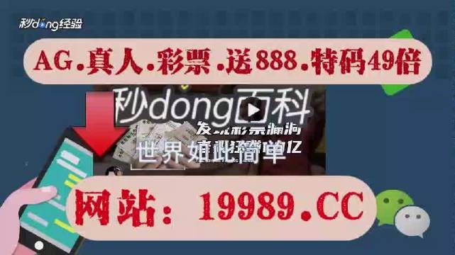 2024澳门天天开好彩大全免费_石家庄自在城最新动态,安全设计方案评估_触控版2.95.781