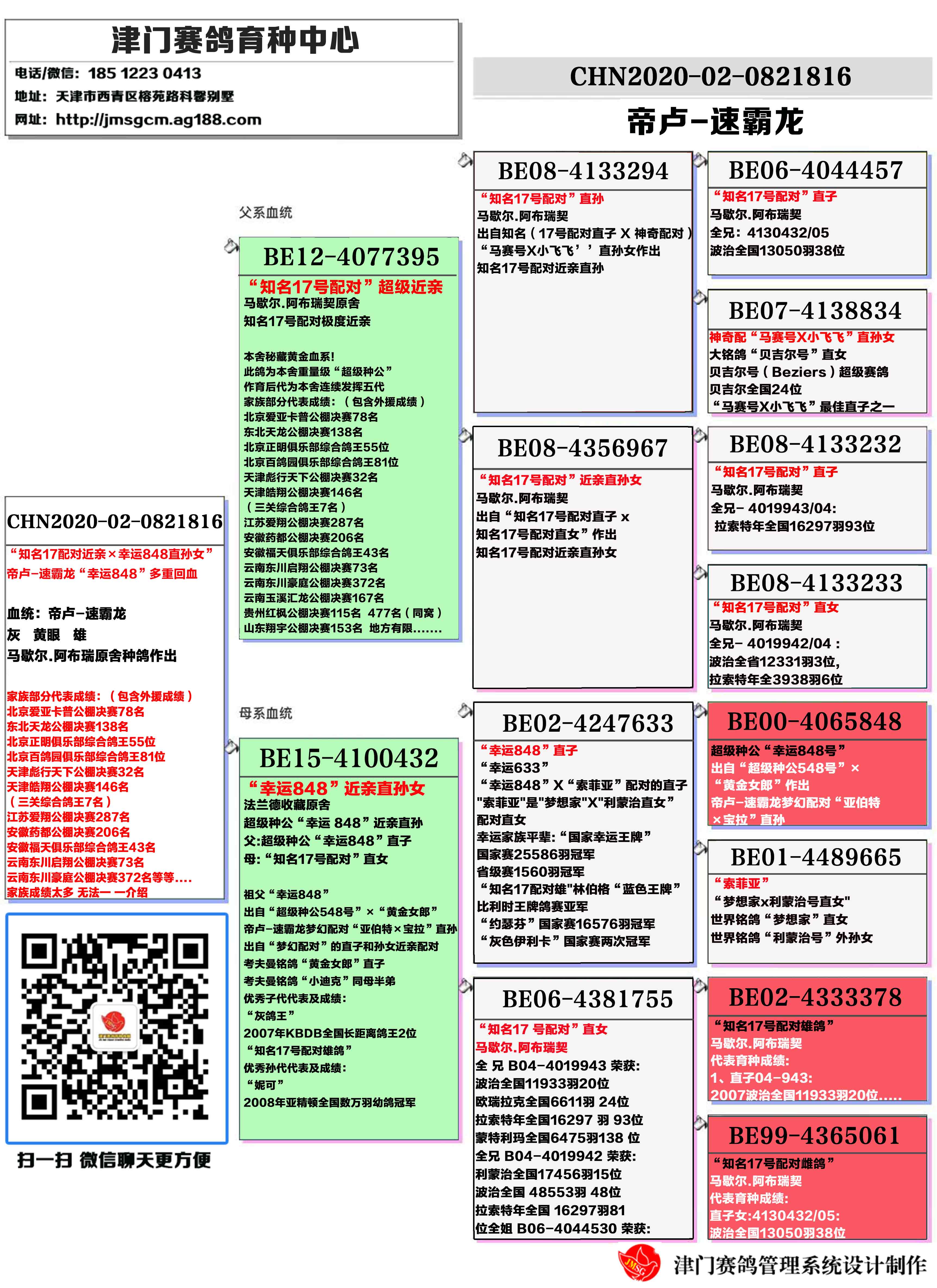 澳门一肖一码一必中一肖._岷山鸽舍最新种鸽图片,详情执行数据安援_进口版1.13.184