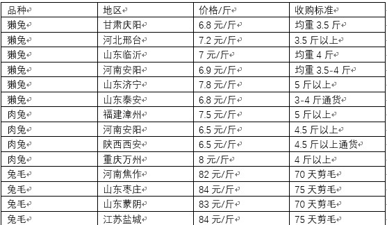 香港最准100%一肖中特特色_河北獭兔最新价格行情,安全设计解析说明法_便携版6.81.598