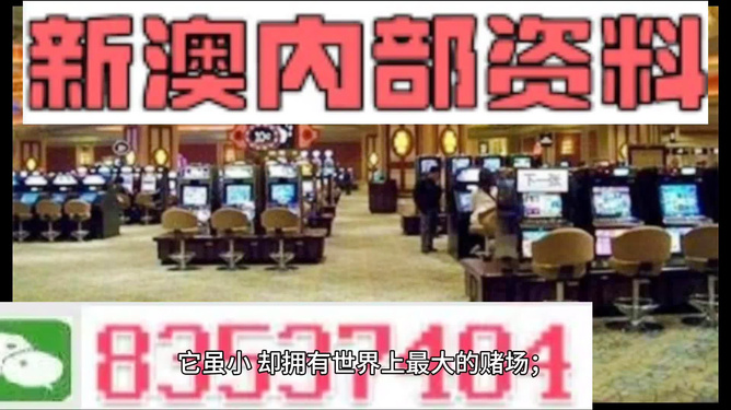 2024新澳资料免费精准资料_全新polo最新消息,创新策略执行_探索版4.77.137