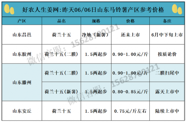 生姜价格最新价格,深度研究解析_妹妹版7.36.861