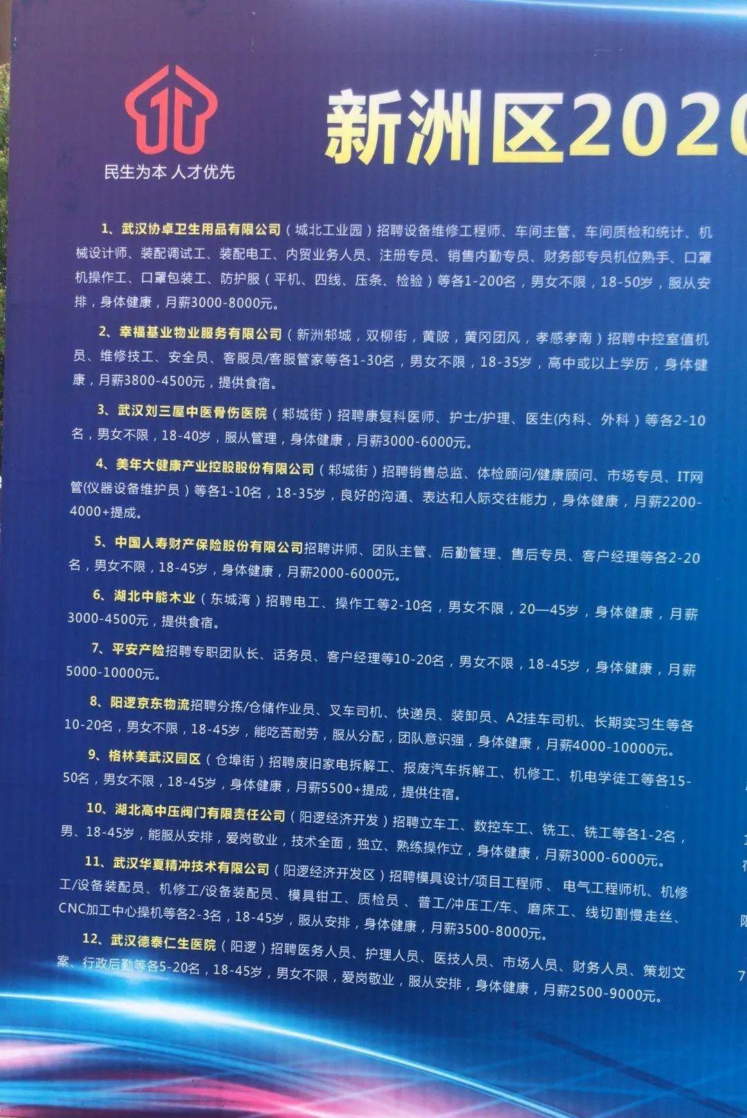 最新阳逻招聘,最新阳逻招聘动态，职业发展的理想选择之地