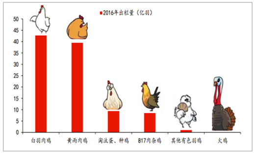 鸡的最新价格,鸡的最新价格，市场分析、趋势预测及影响因素科普