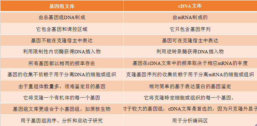 最新果贷,最新果贷申请步骤指南（适用于初学者及进阶用户）