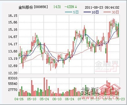 金科股票最新消息,金科股票最新消息，小巷深处的特色小店探秘