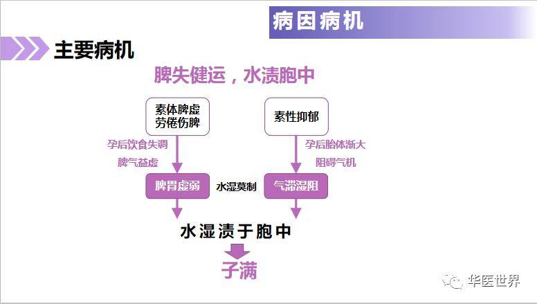 7777788888精准管家婆免费,精细探讨解答解释现象_GZ81.033