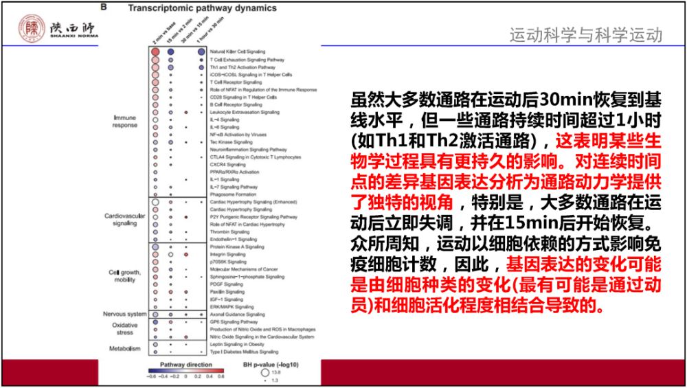 “2024版新奥官方精编资料，权威解读_PUK226.08修订版”