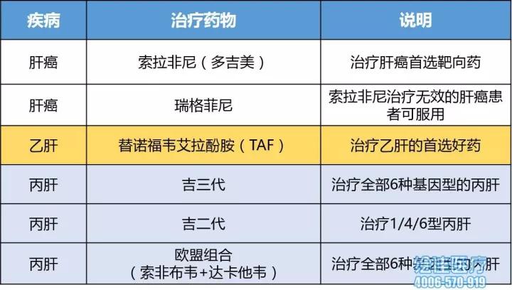 最新丙肝药物治疗及其论述进展