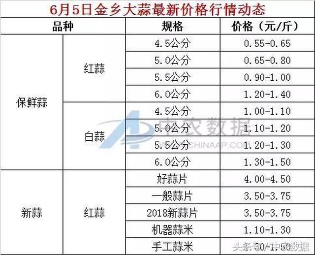 金乡大蒜最新价格行情，与自然美景的对话之旅