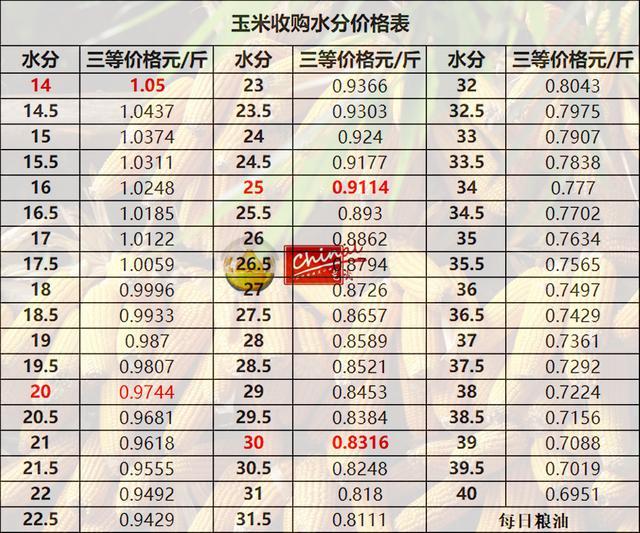 沈阳玉米价格最新行情及分析简报