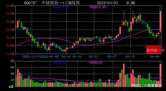 2024年一肖一码一中一特,安全解析策略_帝之境FKS672.22