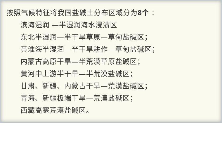 盐碱地改良最新技术步骤指南，从理论到实践