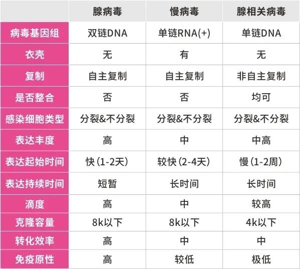 2024年今晚新澳开奖号码公布，光学工程领域突破——炼骨境XEK72.96揭晓