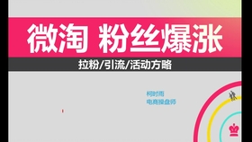 淘宝最新教程揭秘，奇妙购物世界与家庭温馨故事分享