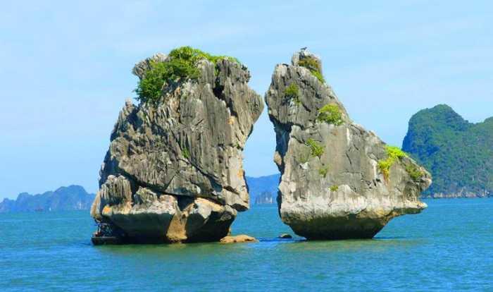 中国斗鸡论坛最新动态，探索自然美景，寻找内心平和之旅