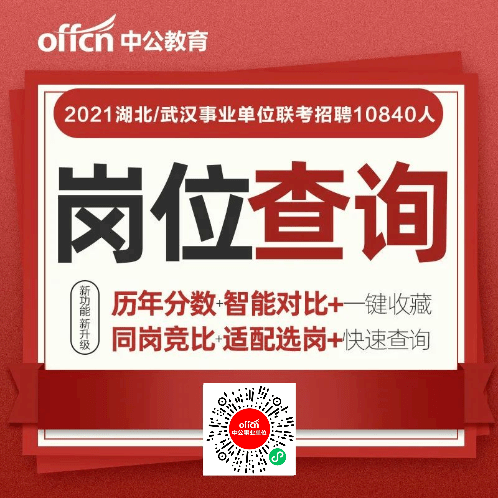 荆门最新招聘，友情与工作交织的牵绊与奇遇