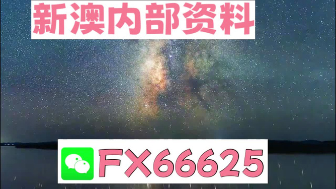 2024新澳天天彩免费资料发布，Mail应用试点版ZDX609.77上线