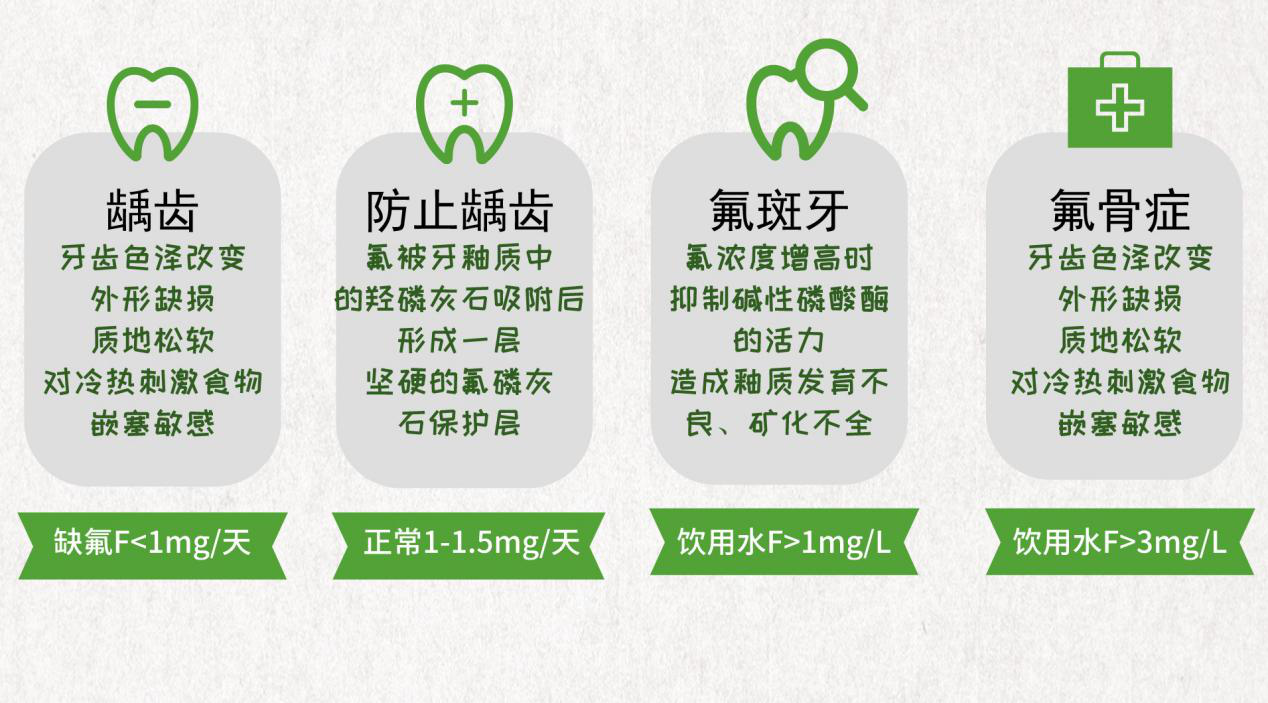 探索小巷深处的隐藏瑰宝，最新氟特色小店的奇妙之旅