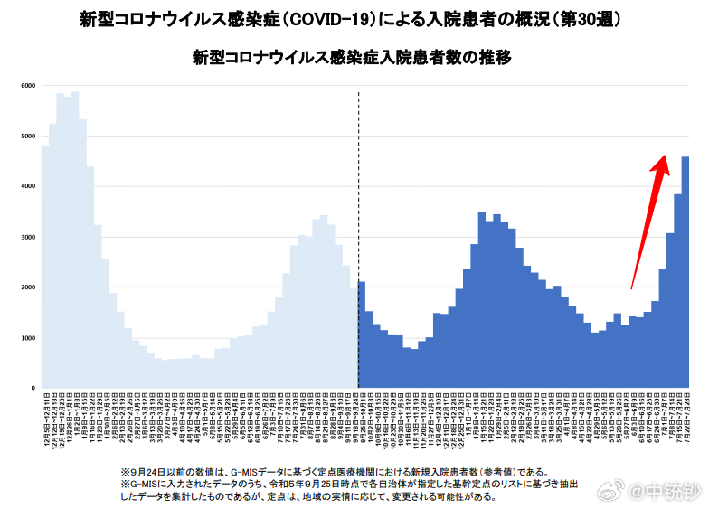 日本最新信息概览，全面解读日本最新动态