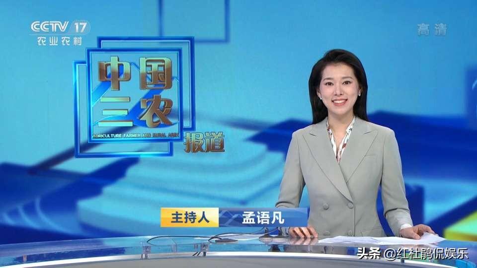 最新新闻报道综述，深度解析与观点阐述