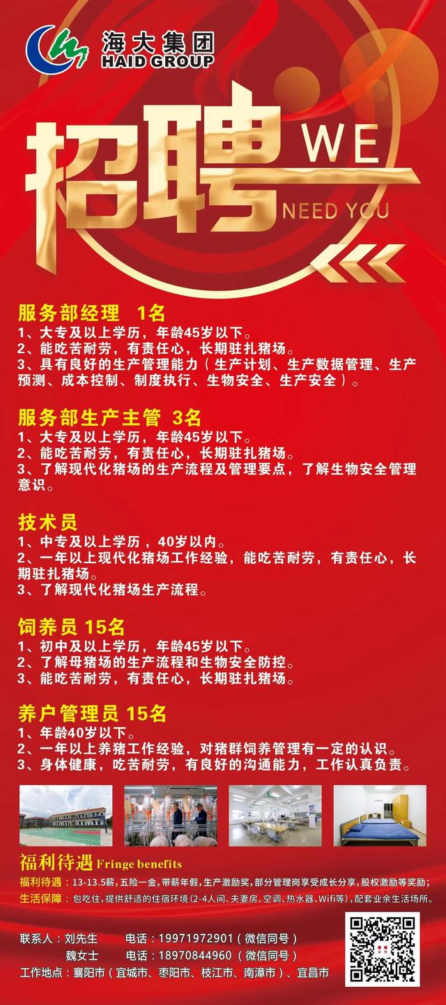 鹰潭招聘网最新招聘信息，启程人生新篇章，学习变化，拥抱自信与成就