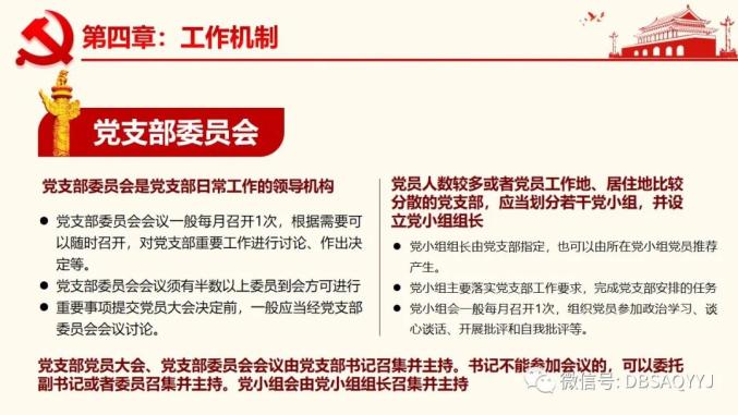 最新党支部工作条例引领变革，铸就自信与成就之路