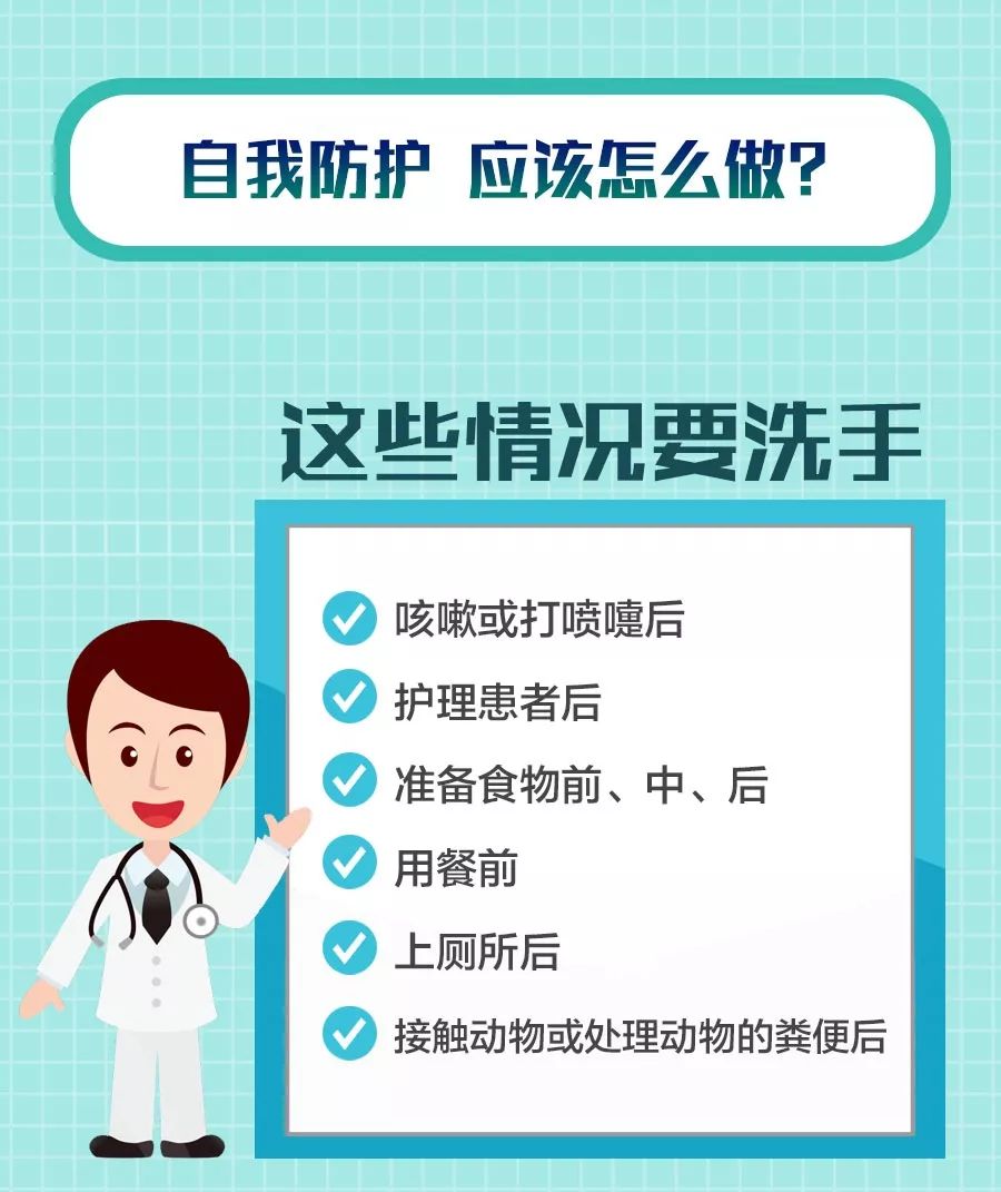 新型冠状病毒最新情况详解，初学者与进阶用户的步骤指南