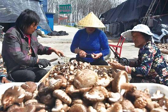 巷弄深处的独特风味探秘，清风中原最新消息揭秘