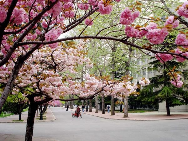 临沂市地图最新版，探索小巷独特风味之旅