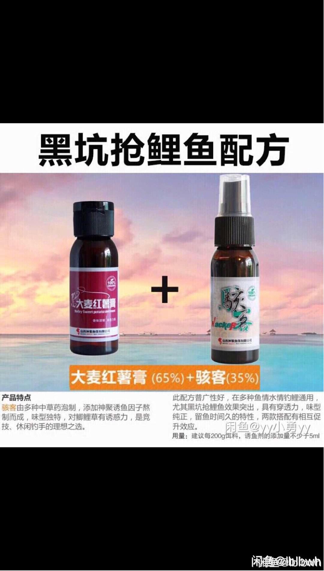 西药钓鱼最新配方，科技与传统智慧的完美融合