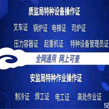 最新电梯证,时代进步与安全保障的标志