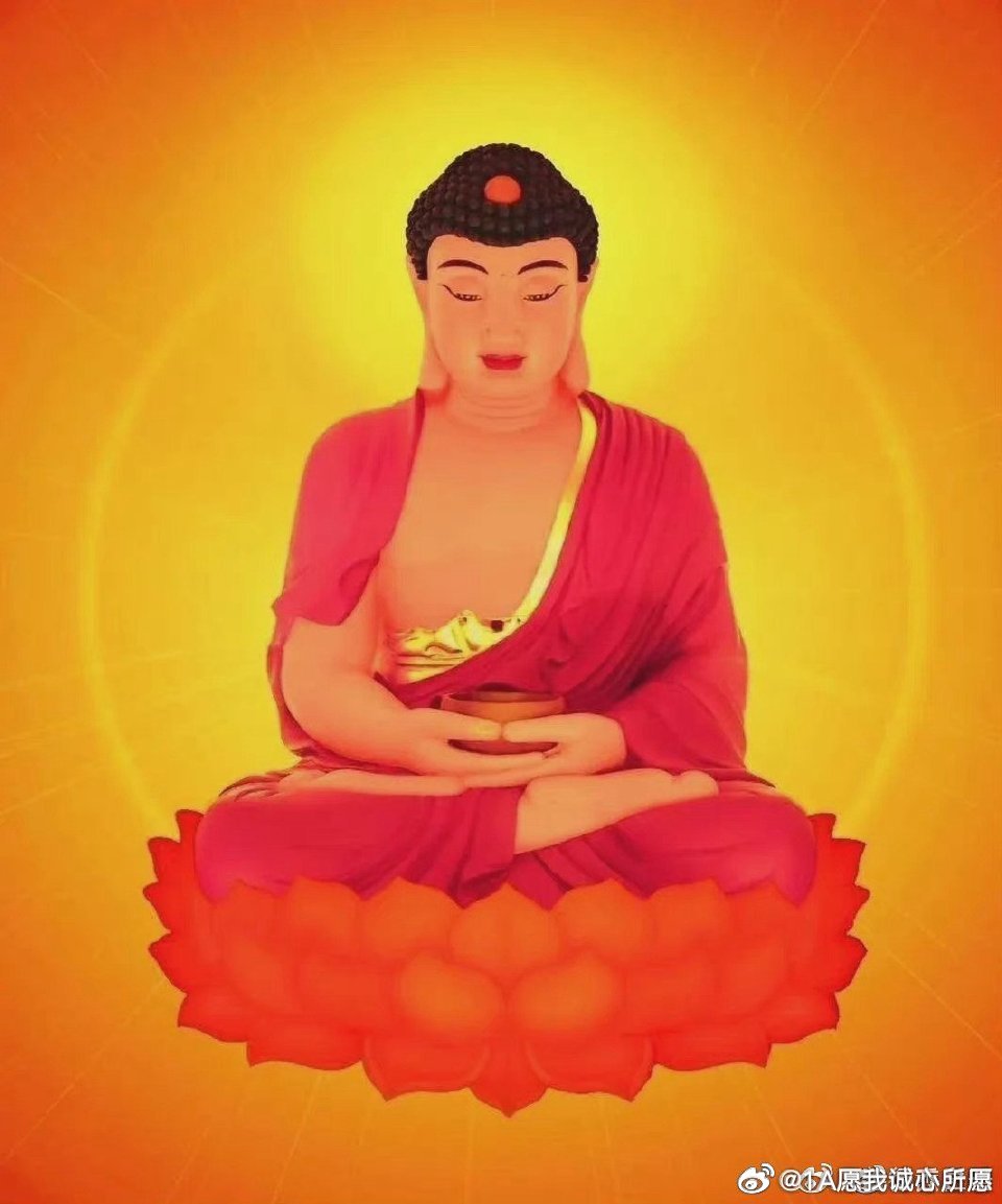 最新佛法视频,现代传播视角下的多元理解与探索