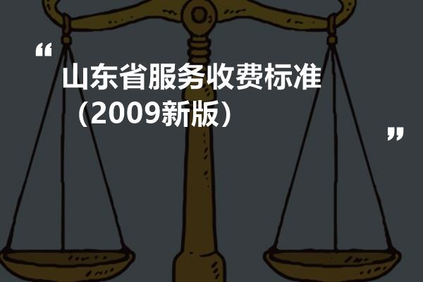 山东最新费率详解，步骤指南与费率概览