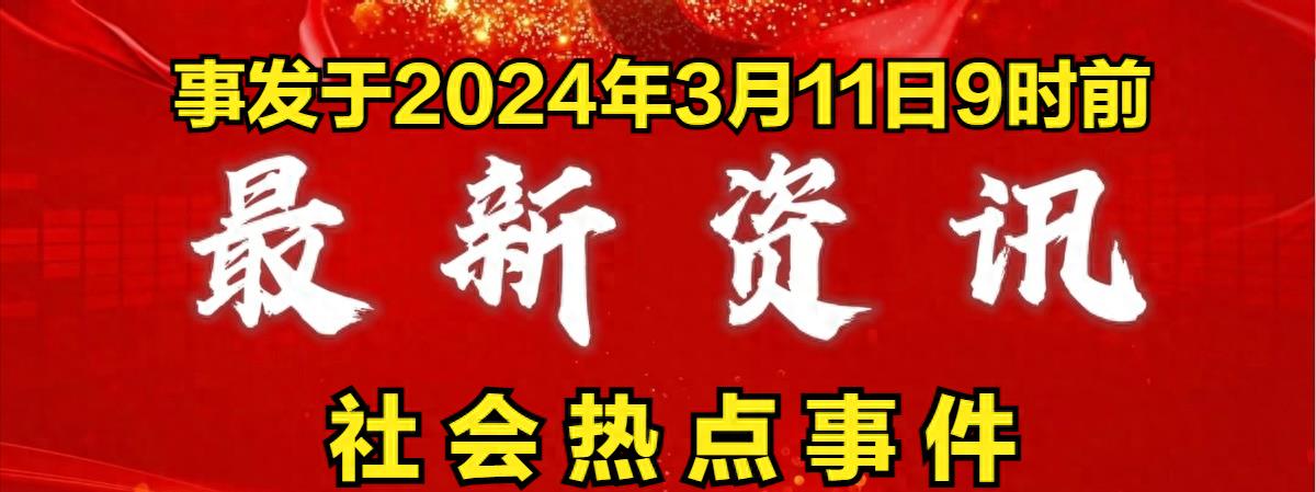 今年最新新闻事件深度解析与探讨