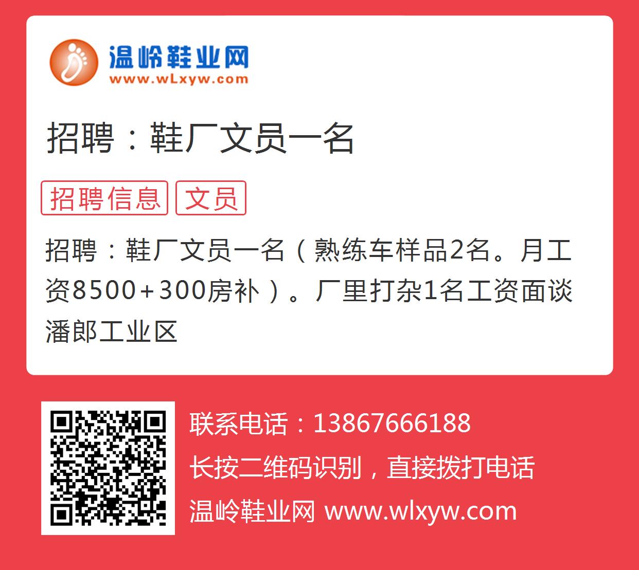 温州鞋厂最新招聘信息详解，观点论述与岗位概览