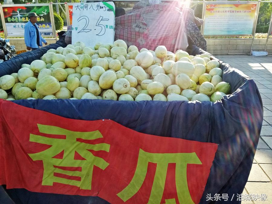 东北大棚最新取暖技术，与自然美景的温暖之旅探索