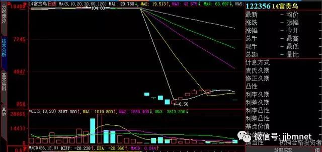 富贵鸟最新动态，翱翔自信，成就梦想之路