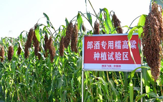 餐饮项目策划 第57页