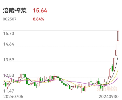 涪陵榨菜股票最新消息,涪陵榨菜股票最新消息